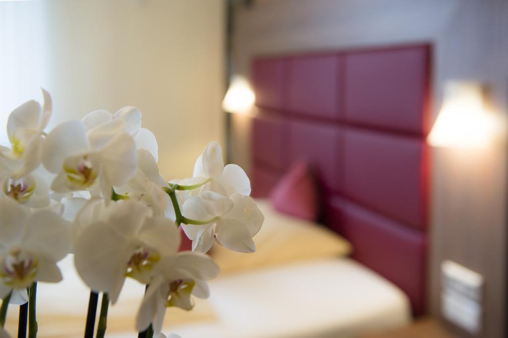 Ambient Zum Schwan Hotel 3*